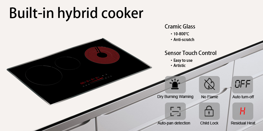 Built in Hybrid Induction cooker