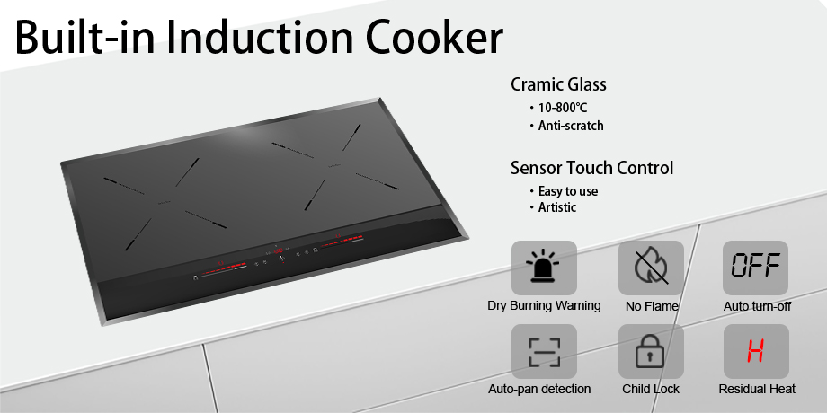 Electric Induction Cooker