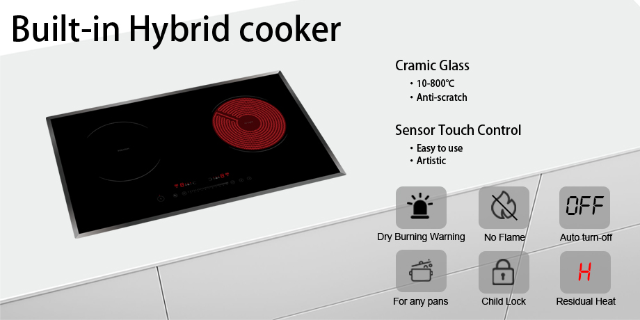 Built in Hybrid Induction cooker