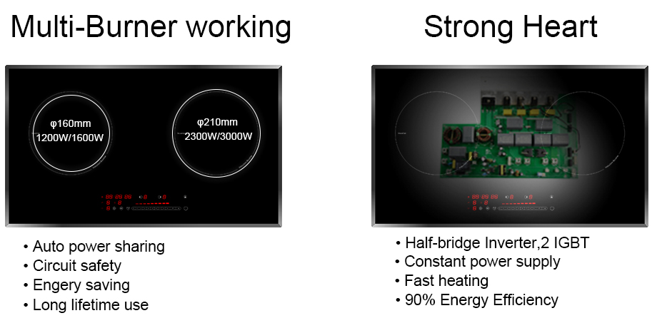 Double Hob Induction Cooker